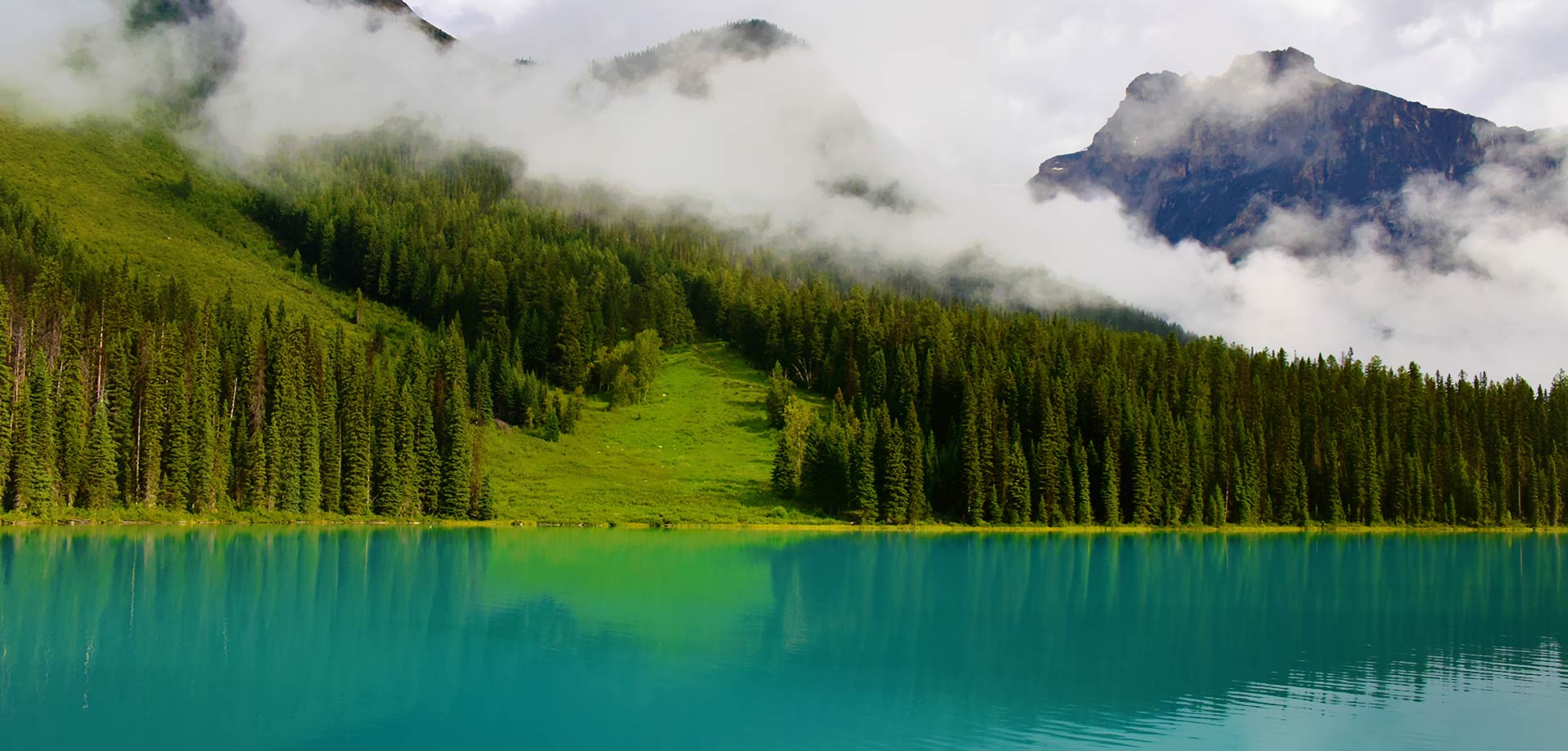 煜環環境科技有限公司